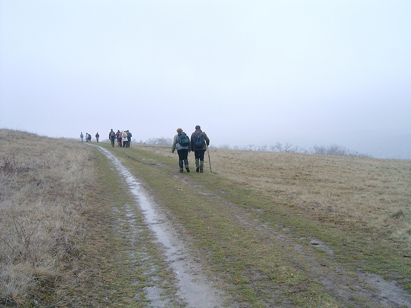 20100220 082.jpg